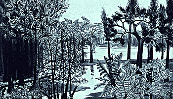 Coal swamp